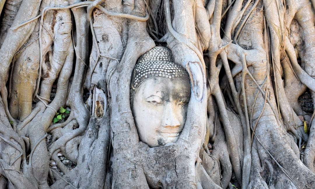 Ayutthaya - Wat_Mahathat - Buddha