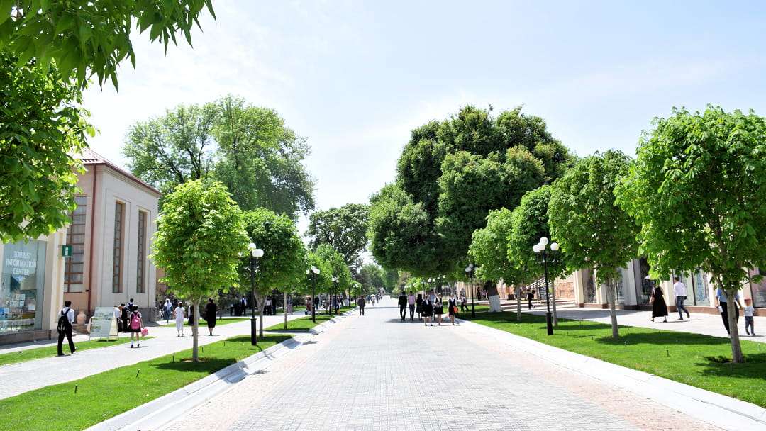Viale Tashkent