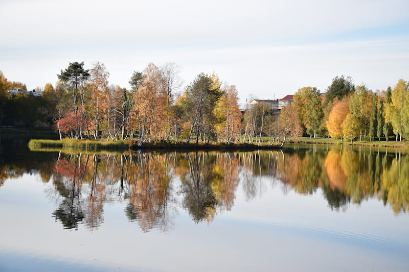 Rovaniemi_08-MBwYS6is
