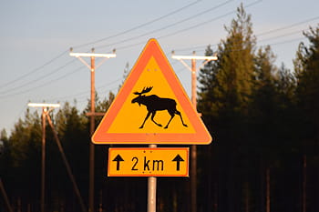 Scandinavia 2024. Itinerario in camper