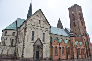 Ribe