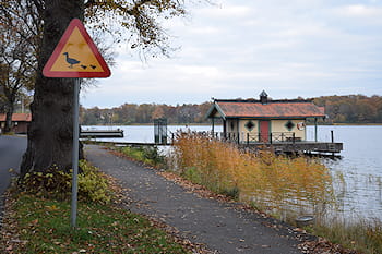 Svezia in camper
