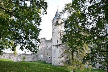 Estonia in camper