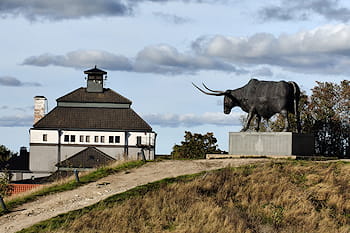 Estonia. Altri luoghi
